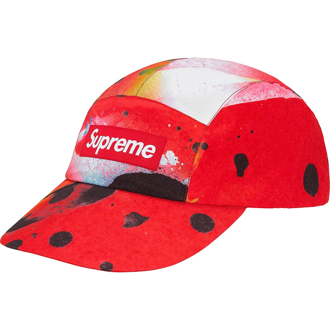 GORE-TEX Long Bill Camp Cap view 3
